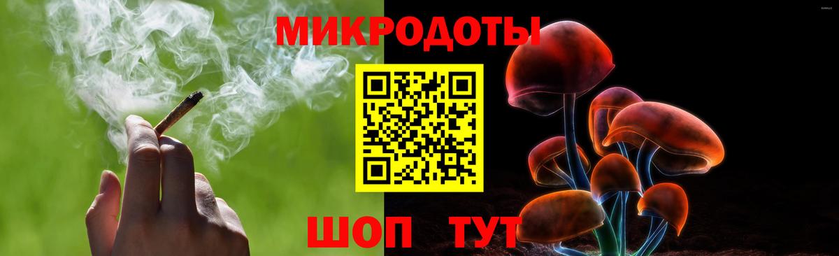 Псилоцибиновые грибы Psilocybe Ковров