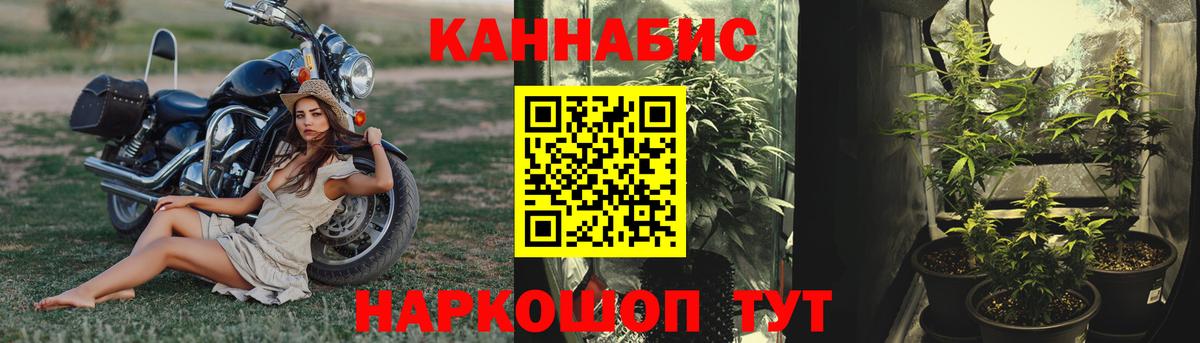 МАРИХУАНА Ganja  Каннабис MAZAR  Бошки Шишки SATIVA & INDICA  Вход с VPN  Бошки марихуана план  Ковров 